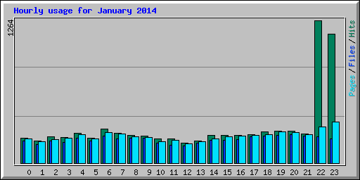 Hourly usage for January 2014