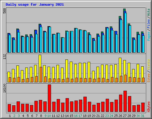 Daily usage for January 2021