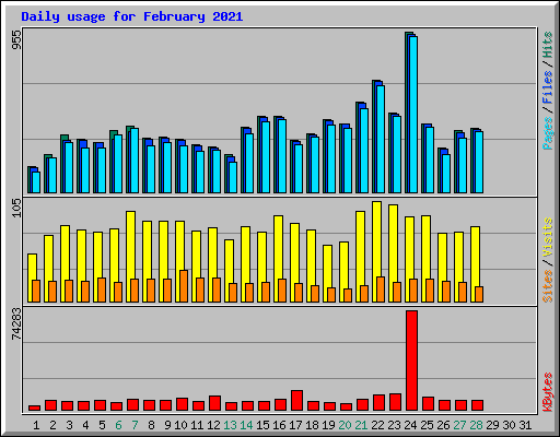 Daily usage for February 2021