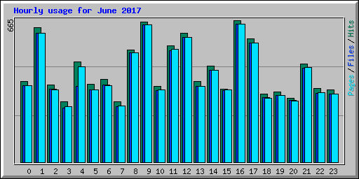 Hourly usage for June 2017