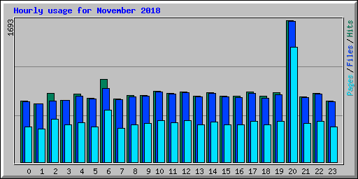 Hourly usage for November 2018