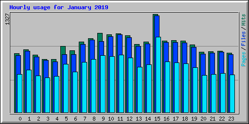 Hourly usage for January 2019