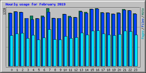 Hourly usage for February 2019