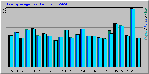 Hourly usage for February 2020
