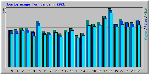 Hourly usage for January 2021