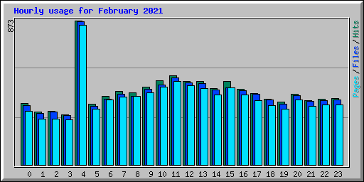 Hourly usage for February 2021